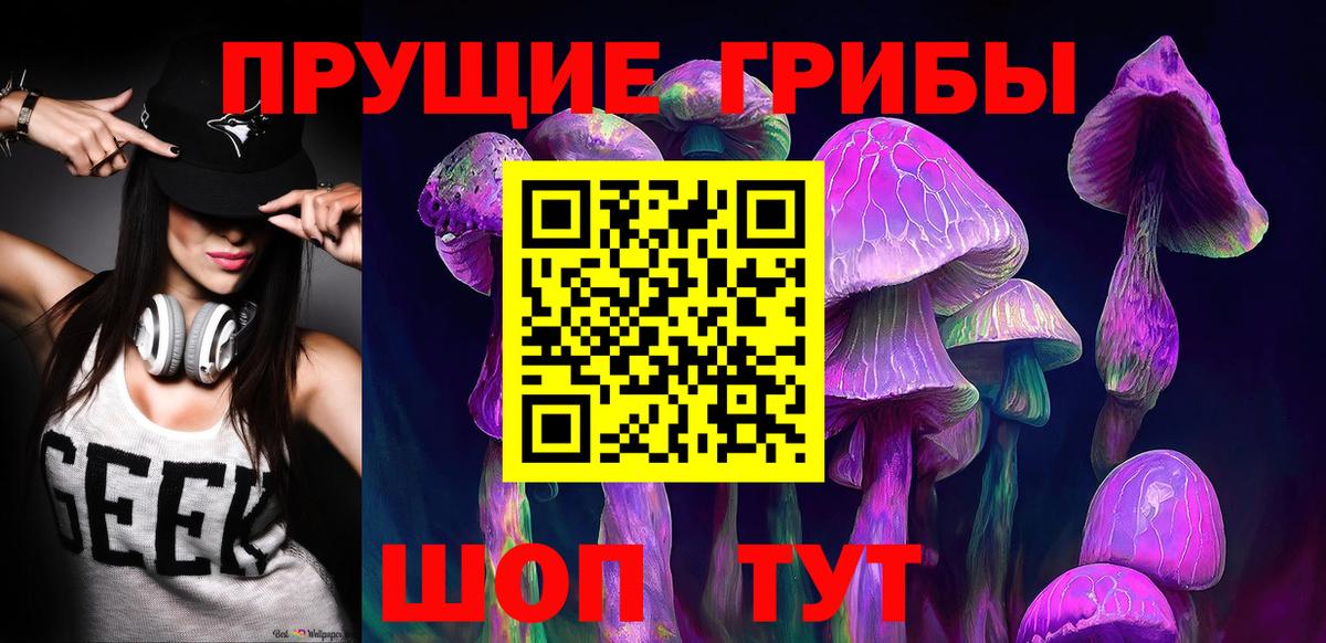 Гусев  Псилоцибиновые грибы ЛСД  Вход с VPN 